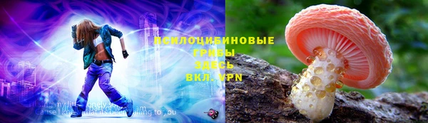 шишки Медвежьегорск