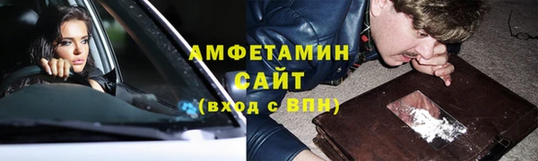 шишки Медвежьегорск