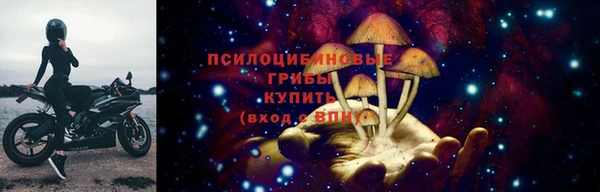 шишки Медвежьегорск
