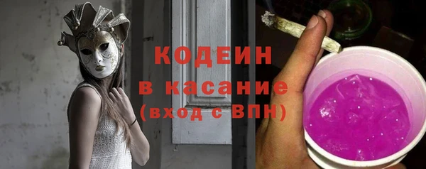 шишки Медвежьегорск