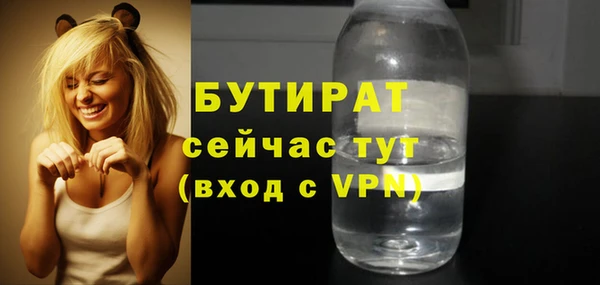 шишки Медвежьегорск