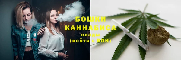 шишки Медвежьегорск