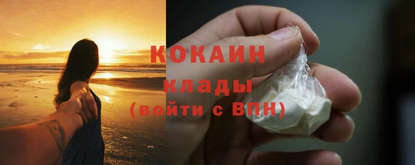 шишки Медвежьегорск