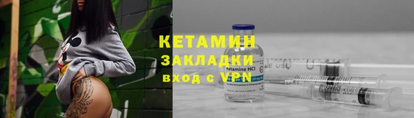 шишки Медвежьегорск