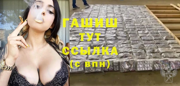 дмт Мегион