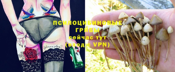 дмт Мегион