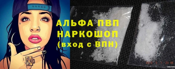 дмт Мегион