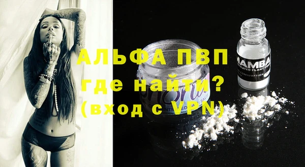 дмт Мегион
