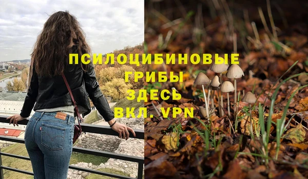 дурь Медногорск