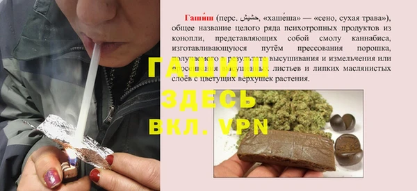 шишки Медвежьегорск