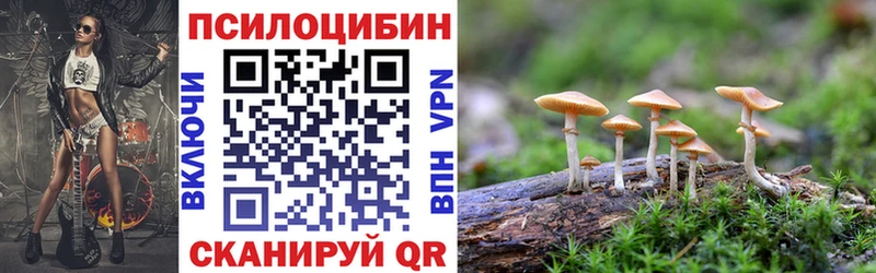 Псилоцибиновые грибы Cubensis  купить наркотик  Тихвин 