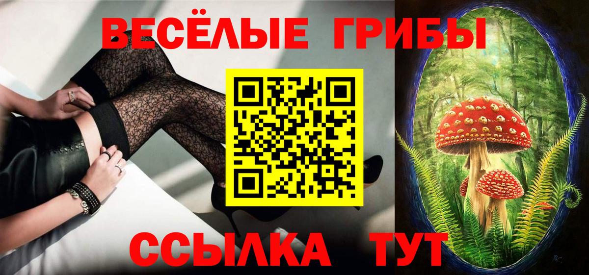 Псилоцибиновые грибы мицелий Тихвин
