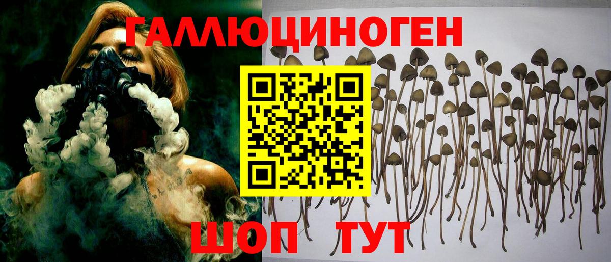 купить  сайты  Вход с VPN  Тихвин  Псилоцибиновые грибы ЛСД  Псилоцибиновые грибы прущие грибы 