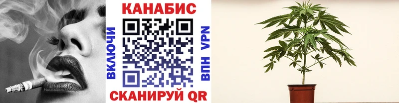 Шишки марихуана AK-47 Тихвин
